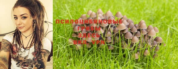 гидропоника Абинск