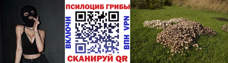 Галлюциногенные грибы Magic Shrooms  Яхрома 